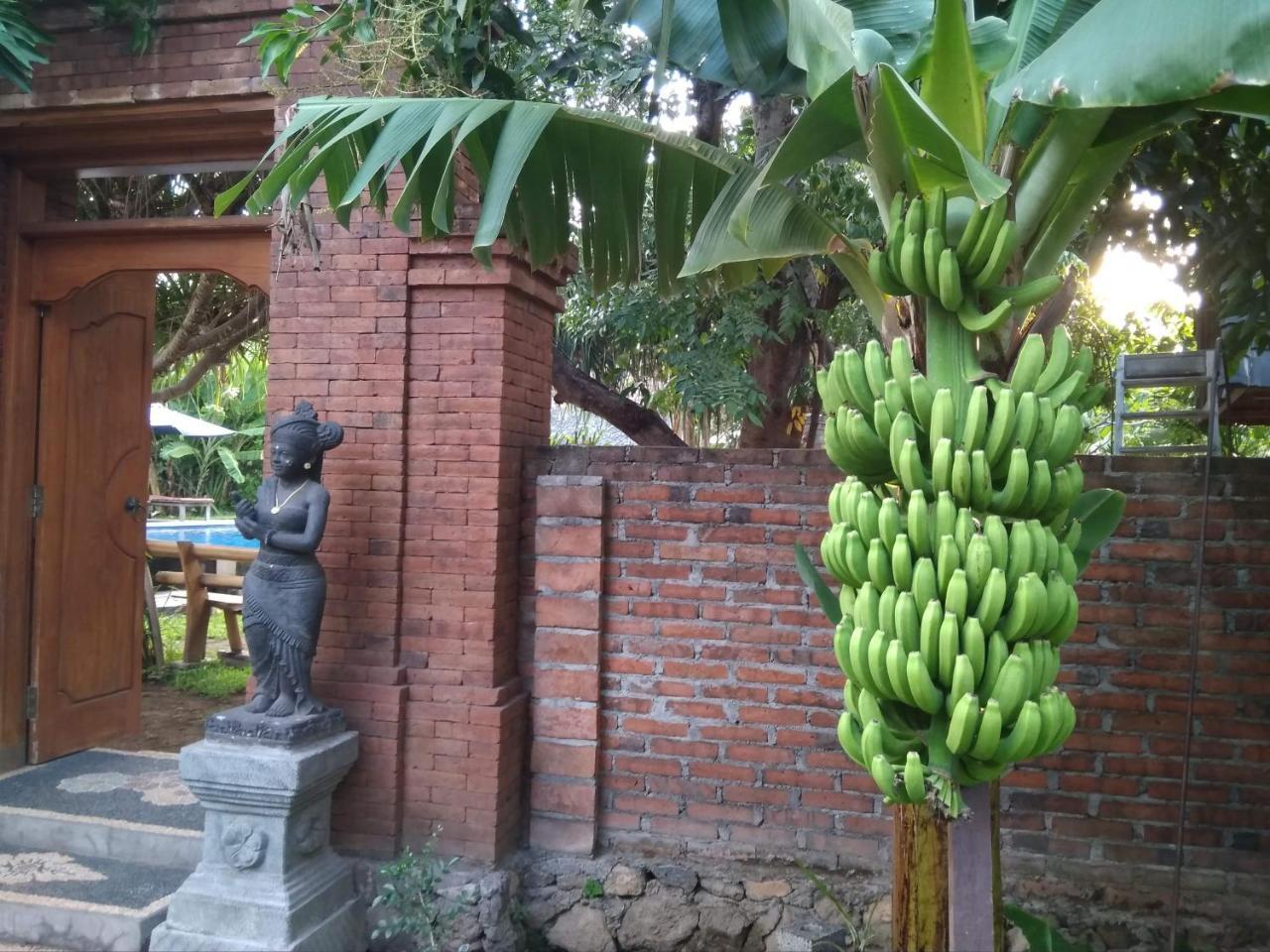 Suka Sari Cottages 페무테란 외부 사진